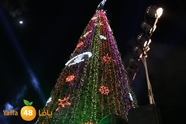 tree light 1208 (120).JPG